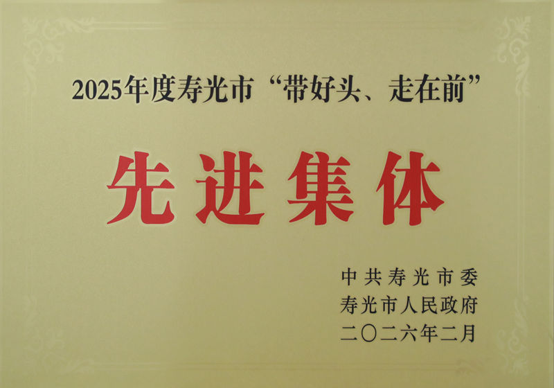寿光市“带好头、走在前”先进集体